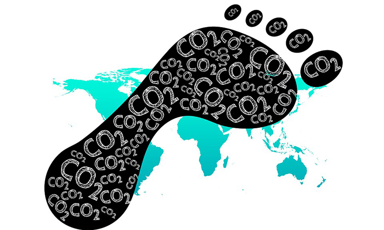 How Can the Pharmaceutical Sector Reduce Its Carbon Footprint?