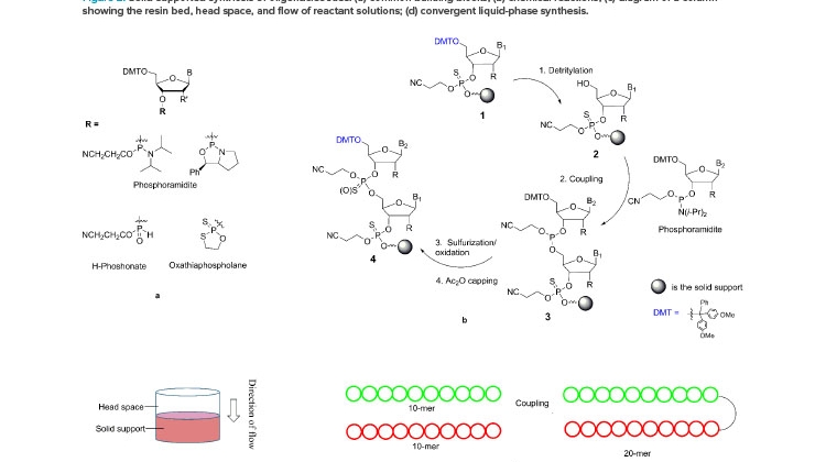 Current State of Oligonucleotide Therapeutics