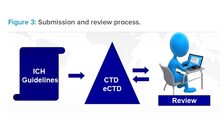 Submission and review process diagram