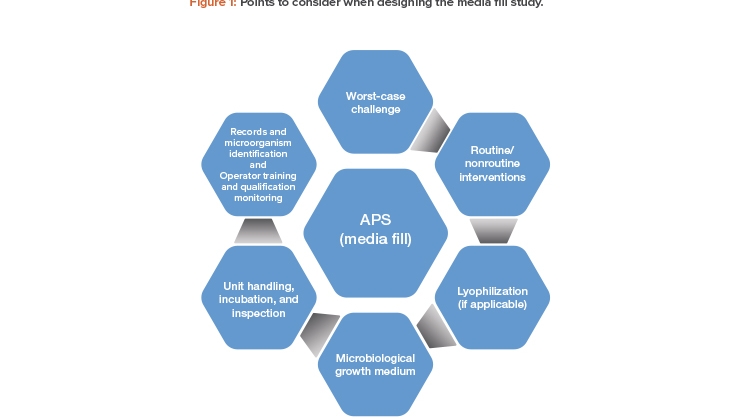 Figure 1: Points to consider when designing the media fill study.