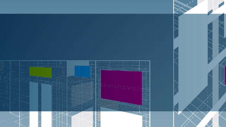 Viral Vector Platforms: Intersection of Facility and Program