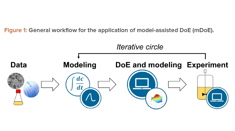 Figure 1: General workfl ow for the application of model-assisted DoE (mDoE).