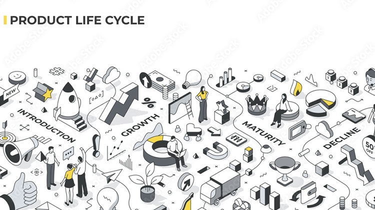  Product Lifecycle Innovation through Cross-Fertilising Methodological Enablers across Biological Modalities