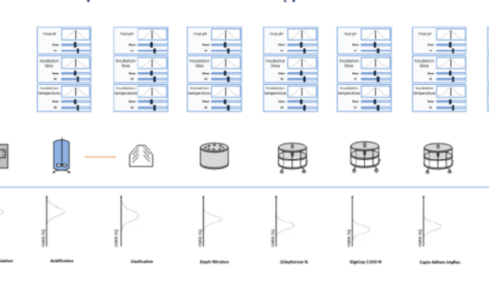 Bioprocess Digital Twin 