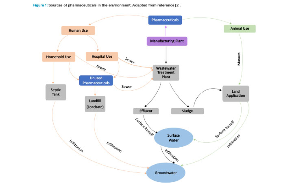 Figure 1: Sources of pharmaceuticals in the environment. Adapted from reference