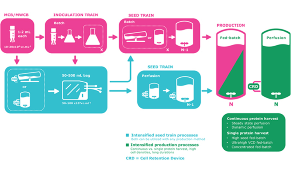 BioContinuum™ Seed Train Platform